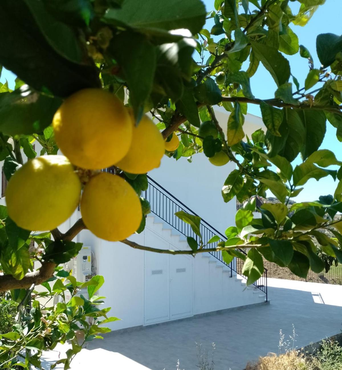 Granatelli Holiday Home Altavilla Milicia Exterior photo